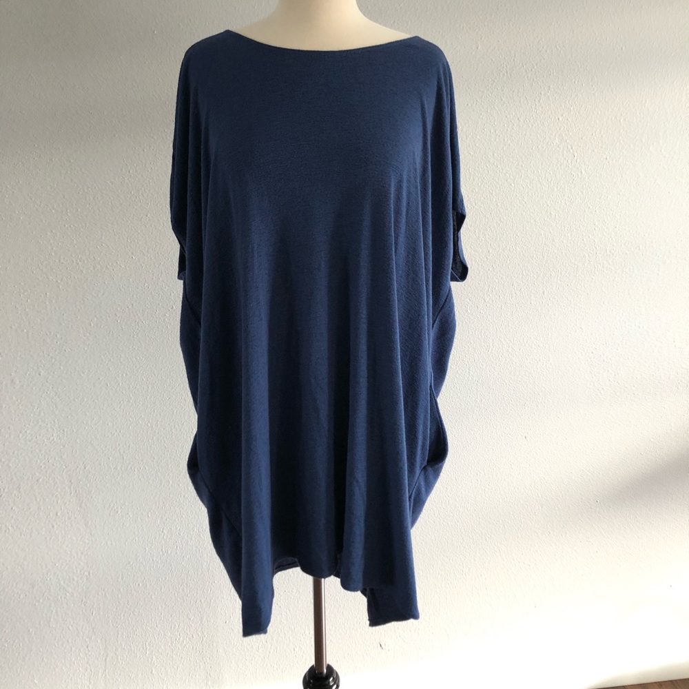 Aritzia Blue Dress